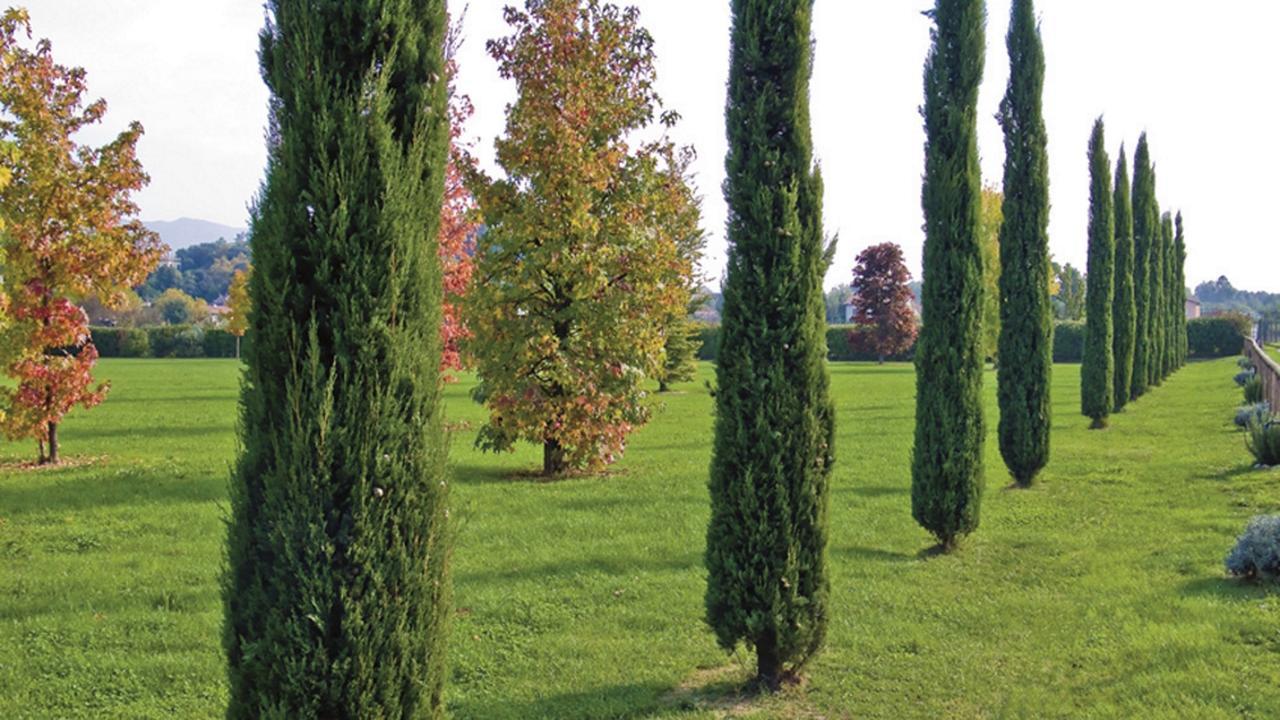 "Encantea" Lovely Country House Lucca Exterior photo